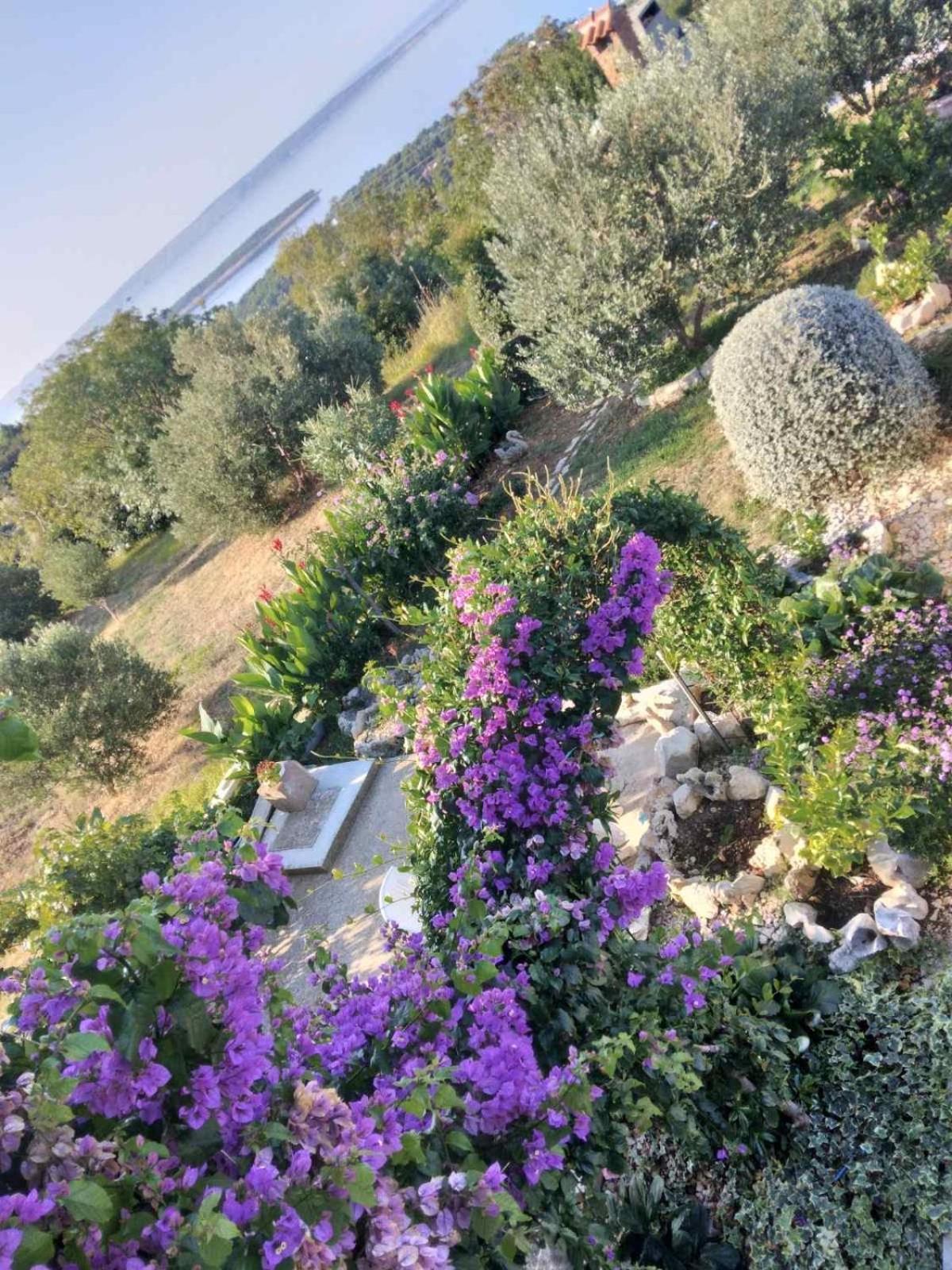 Apartments Panorama View Zeljko Scerbe Mundanije エクステリア 写真